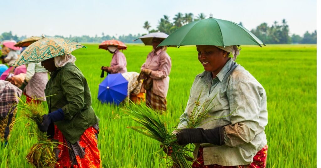 Government Raises Minimum Wages for Workers in Agriculture and Industry Ahead of Festive Season