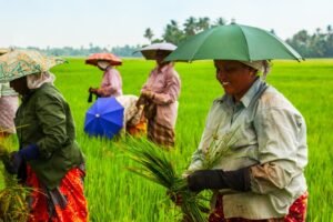 Government Raises Minimum Wages for Workers in Agriculture and Industry Ahead of Festive Season